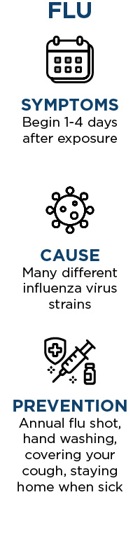Flu symptoms begin 1-4 days after exposure. The cause of the flu comes from many different influenza virus strains. Prevention for the flu includes: annual flu shot, hand washing, covering your cough, staying home when sick.