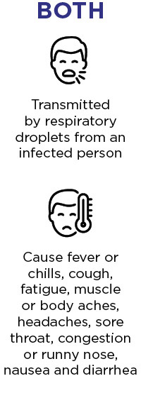 Both COVID-19 and the flu are transmitted by respiratory droplets from an infected person. They both cause fever or chills, cough, fatigue, muscle or body aches, headaches, sore throat, congestion or runny nose, nausea and diarrhea.